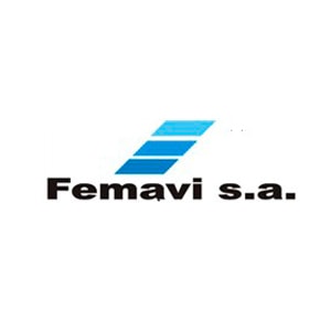 Femavi S.A